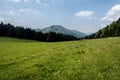 Mountain meadow with forest around, hills on the background and blue sky with few clouds in Carpathians Royalty Free Stock Photo