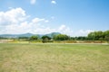 The mountain meadow grass