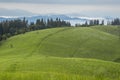 Mountain meadow with green grass, trails and forest Royalty Free Stock Photo