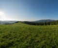 Mountain meadow with green grass, trails and forest Royalty Free Stock Photo