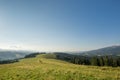 Mountain meadow with green grass, trails and forest Royalty Free Stock Photo