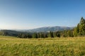 Mountain meadow with green grass, trails and forest Royalty Free Stock Photo