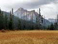 Mountain meadow with Idaho Sawtooths at Stanley Lake