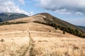 Mountain meadow, Kozi chrbat and Prasiva hills near Donovaly resort in Slovakia