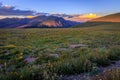 Mountain Meadow Sunset Views from the Trail Ridge Road, Rocky Mountain National Park, Colorado Royalty Free Stock Photo