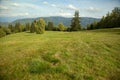 Mountain meadow under the hill Vysoka, Slovakia