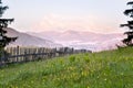 Mountain meadow with a wooden fence, view on the mountains, early morning