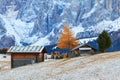 Mountain meadow and wooden house Alpe di Siusi or Seiser Alm the Langkofel mountain range with Bolzano province, South Tyrol in Royalty Free Stock Photo