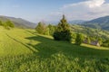 Mountain meadows on the Carpathian ridge top in sunny weather Royalty Free Stock Photo