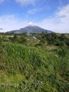 Mountain of merbabu Royalty Free Stock Photo