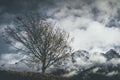 Mountain moody landscape - springtime