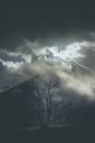 Mountain moody landscape - springtime