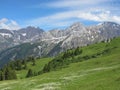 Mountain named Schlauchhorn and green meadow Royalty Free Stock Photo