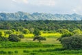 Mountain and nature at Bagan in greeny season, Mandalay, Myanmar