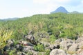 Goa Ngerit, Trenggalek East Java, Indonesia