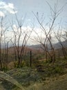 Mountain Nature vegetation Venezuela Maracay Royalty Free Stock Photo