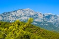 A mountain near Kemer, Turkey, vew from a hill, a pine branch in