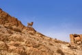 Mountain oasis Chebik, Sahara Desert, mountain peak in the desert with a sculpture of a mountain goat.