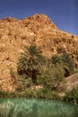 Mountain oasis Chebika, Sahara desert, Tunisia Royalty Free Stock Photo