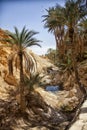 Mountain oasis Chebika, Sahara desert, Tunisia Royalty Free Stock Photo