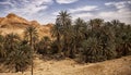 Mountain oasis Chebika, Sahara desert, Tunisia Royalty Free Stock Photo