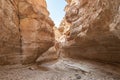 Mountain oasis Tamerza in Tunisia 4 Royalty Free Stock Photo