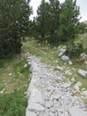 Mountain Orjen Montenegro hiking path to the mountain top Royalty Free Stock Photo