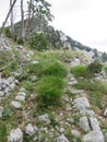 Mountain Orjen Montenegro hiking path to the mountain top Royalty Free Stock Photo