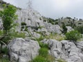 Mountain Orjen Montenegro rocky slopes with scarce vegetation