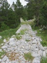 Mountain Orjen Montenegro ruined stone trail Royalty Free Stock Photo