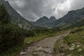 Mountain overgrown with coniferous forest, glade and rest-house toward Maliovitza peak in Rila mountain