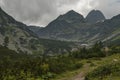 Mountain overgrown with coniferous forest, glade and rest-house toward Maliovitza peak in Rila mountain