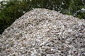 A mountain of oysters shells outside a fish shack in the Oregon Coast Royalty Free Stock Photo