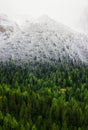 Mountain panorama in the Dolomite Alps, Italy. Forest and mountains between autumn and winter. Beautiful natural landscape in the Royalty Free Stock Photo