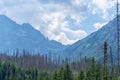 Mountain panorama with forests. Forest is harmed by Ips typographus Royalty Free Stock Photo