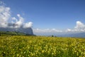 Mountain panorama in the South Tyrolean Alps. IV Royalty Free Stock Photo
