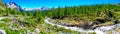 mountain panorama with torrent full of water in summer Alpe Devero Royalty Free Stock Photo