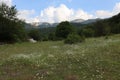 Mountain panorama of the Val Fondillo, in Abruzzo, Italy. Royalty Free Stock Photo