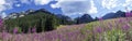 Mountain panorama from the valley