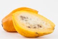 Mountain papaya Vasconcellea pubescens Royalty Free Stock Photo