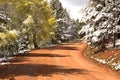 Snow covered trees on a dirt road in the mountains Royalty Free Stock Photo