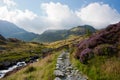 Mountain Pass, Snowdonia, Wales Royalty Free Stock Photo