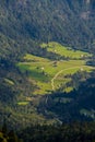 Mountain pasture Voje aerial view