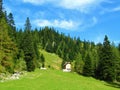 Mountain pasture at Zelenica in Karavanke