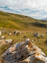 Mountain pastures with lots of big rocks Royalty Free Stock Photo