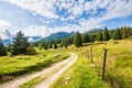 Mountain pastures at Pokljuka plateau