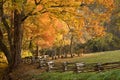 Mountain pastures with split rail fence. Royalty Free Stock Photo