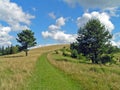 Mountain path