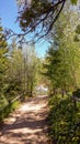 Mountain Path Around Lake Arrowhead, California