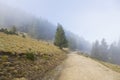 Mountain gravel road leading to a cabana 